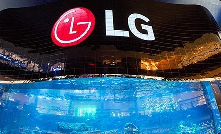 <strong>Ͷ3073ںԪLG displayƻ</strong>