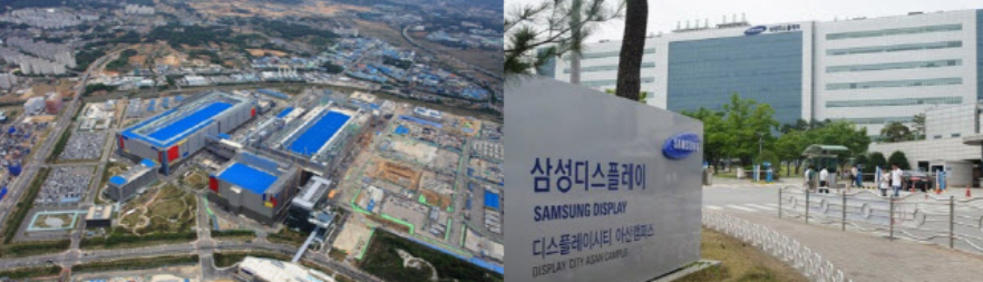 <strong>ʾǰ뵼ٽX</strong>